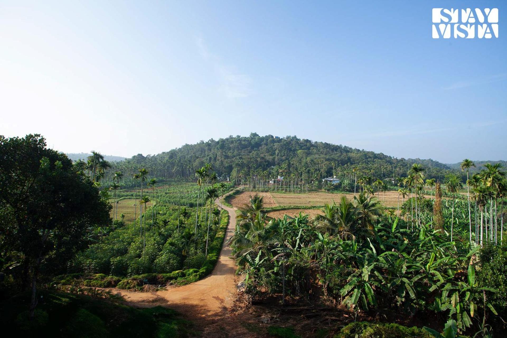 Stayvista At The Big Chill With Breakfast Included Wayanad Exterior foto